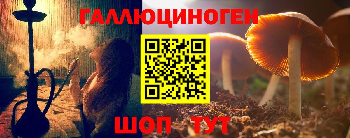 Галлюциногенные грибы Cubensis Кудрово